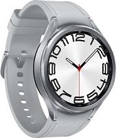 Смарт-часы Samsung Galaxy Watch6 Classic 43мм (SM-R950), серебристые