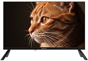 Телевизор Topdevice 24" HD