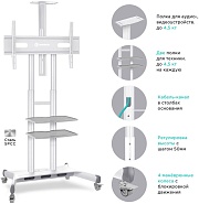 Мобильная стойка для ТВ ONKRON TS1881-W белый, для 50"-86", нагрузка до 105,9 кг, регулировка высоты - 1350 - 1650 мм