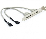 Выносная планка 2 USB2.0 порта KS-is KS-565