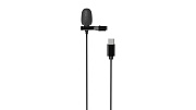 Микрофон Ritmix RCM-210, крепление на одежду, черный Чёрный