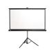 Экран Cactus 200x200см TriExpert CS-PSTE-200x200-BK 1:1 напольный рулонный черный 