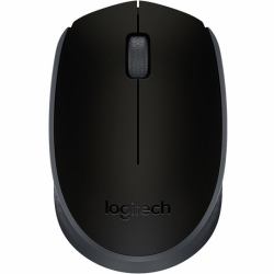 Беспроводная мышь Logitech M171 Black (910-004424)