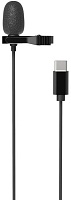 Микрофон Ritmix RCM-210, крепление на одежду, черный