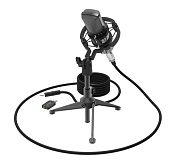 Микрофон RITMIX RDM-160, черный 