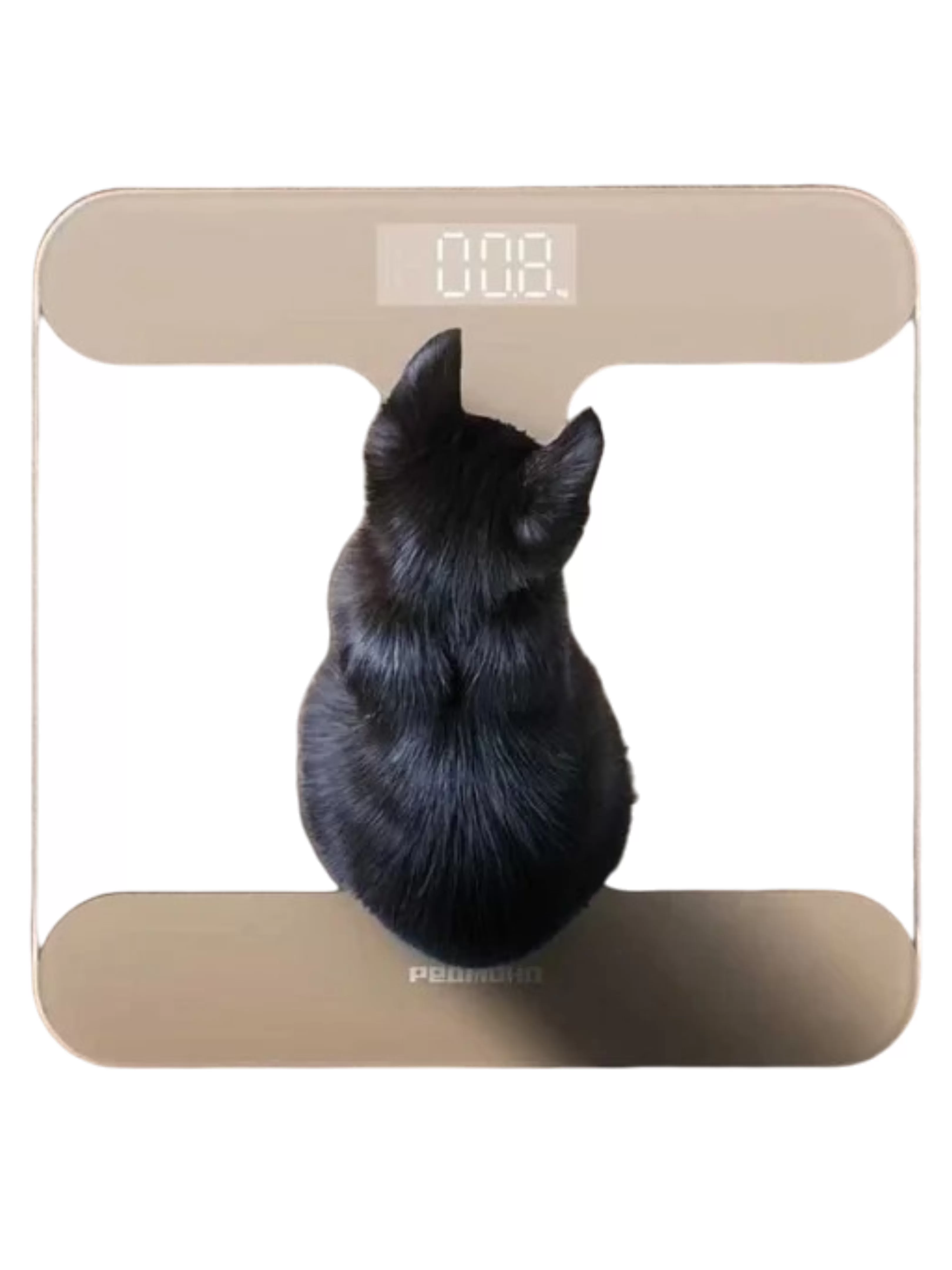 Весы электронные напольные Redmond SB1811, Бежевый  (180 кг)-5