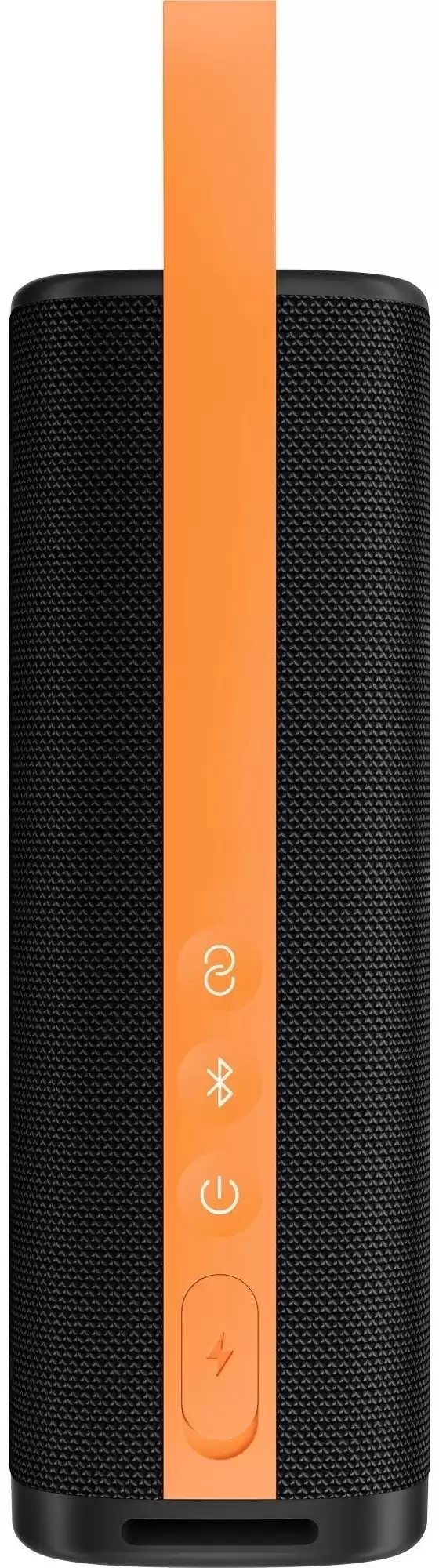 Портативная колонка Xiaomi Sound Outdoor, 30W, черная (QBH4261GL)-1