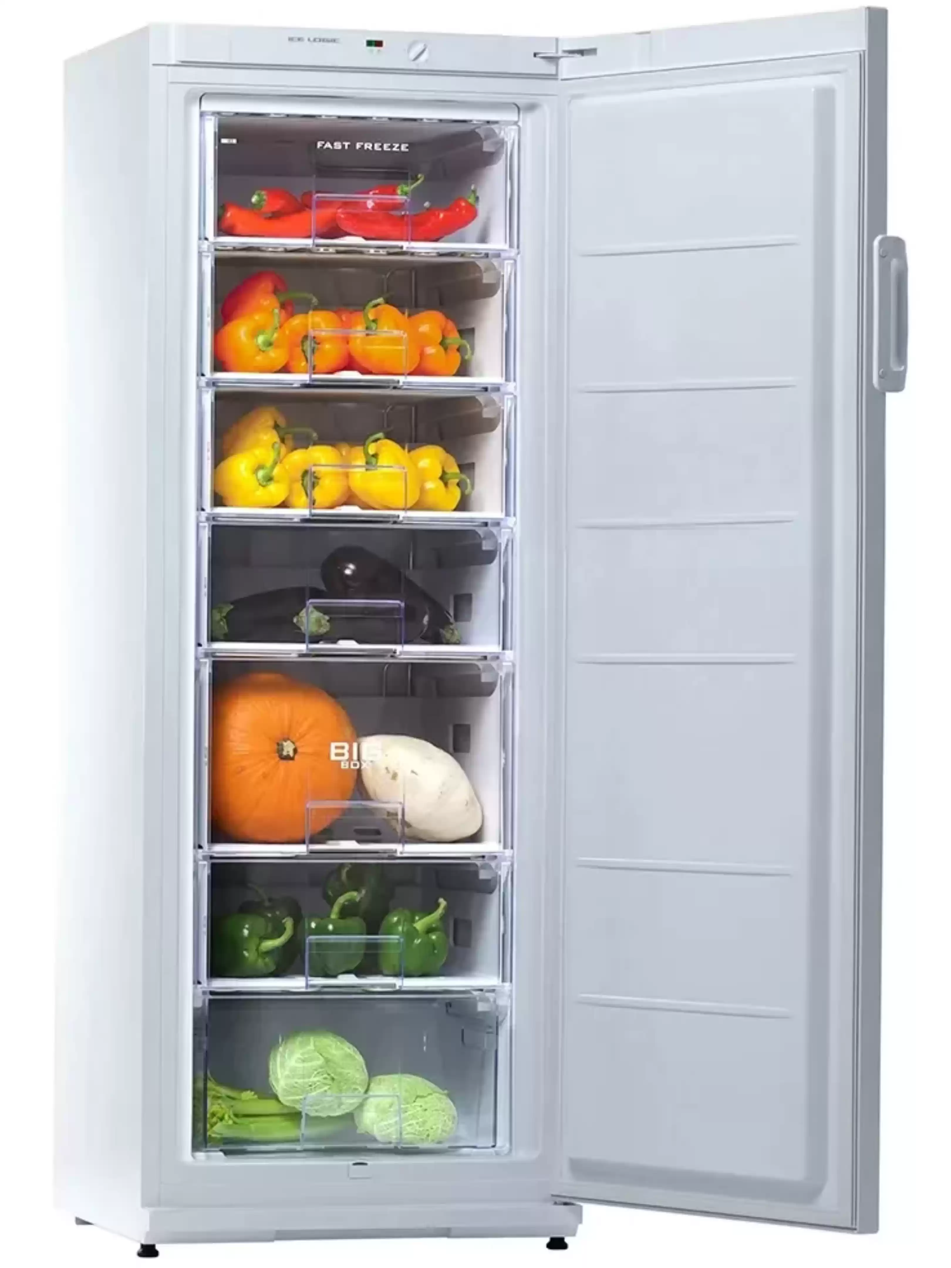 Морозильная камера Snaige F27SM-T1000E (Объем - 232 л / Высота - 163см / A++ / Белый / статическая система)-4