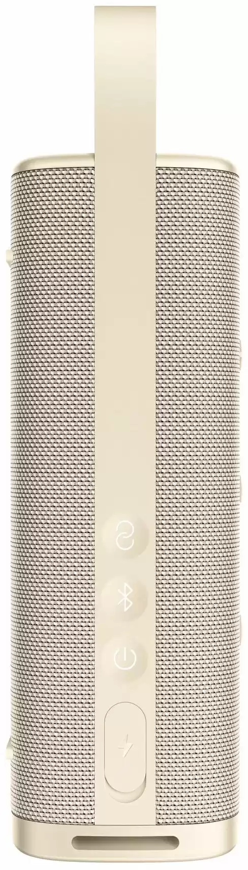 Портативная колонка Xiaomi Sound Outdoor, 30W, золотая (QBH4370GL)-1