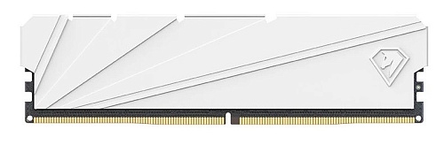 Память DDR4 8GB 3600Mhz Netac Shadow S White NTSSD4P36SP-08W