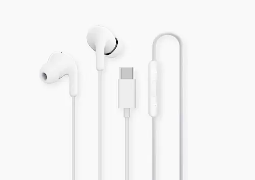 Проводные наушники Xiaomi Type-C Earphones, белые (BHR8931GL)-0