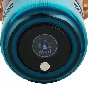 Пылесос Dyson V15 Detect Absolute Gold EU-3